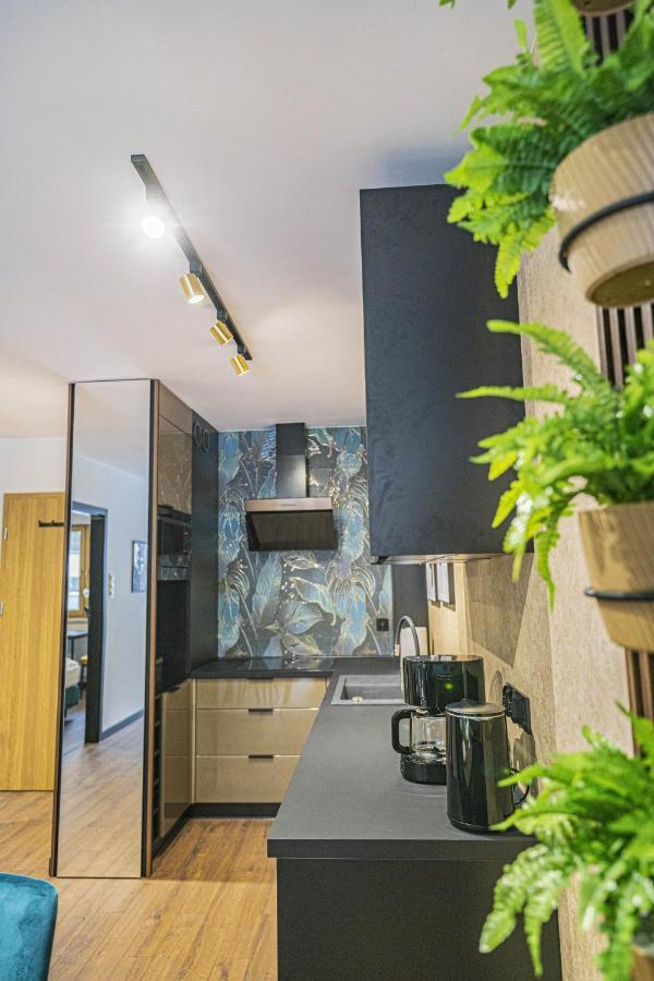 Kilinskiego 17a,2 Apartment Schreiberhau